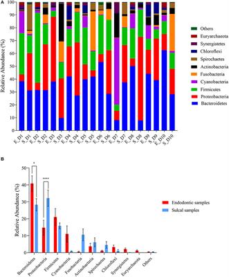 Endodontic Microbiome of Fractured Non-vital Teeth in Dogs Determined by 16S rRNA Gene Sequencing